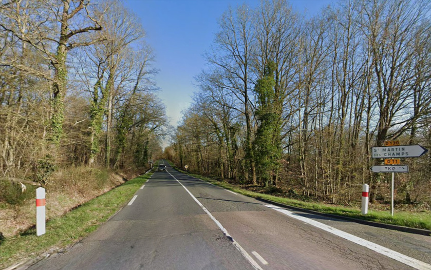 Les arbres dangereux proches de la route seront retirés et certains secteurs de lisière seront travaillés plus en profondeur pour améliorer la sécurité et la visibilité.