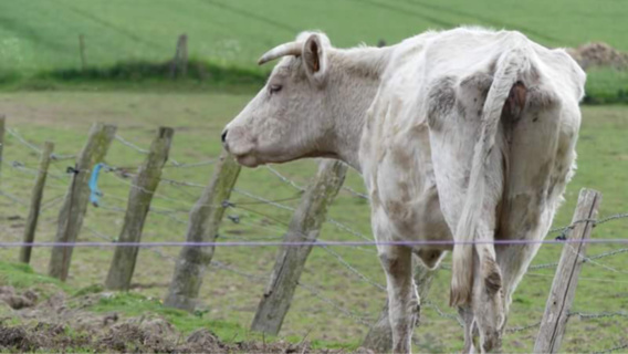 Photo@Facebook Photo@Facebook