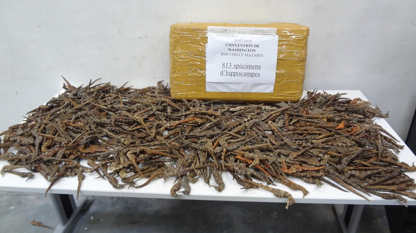 Photo@Douane française