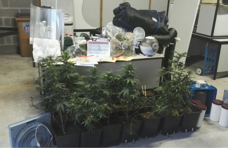 Trafic de drogue démantelé dans l'Eure : cinq jeunes gens arrêtés par les gendarmes de Gaillon