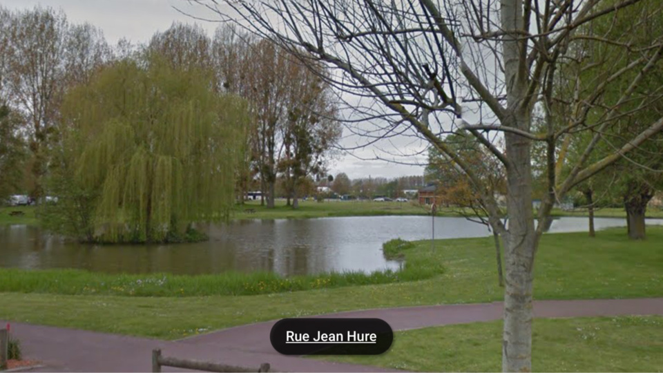 Le Trait. Plusieurs dizaines de poissons morts dans l'étang à cause d'une pollution