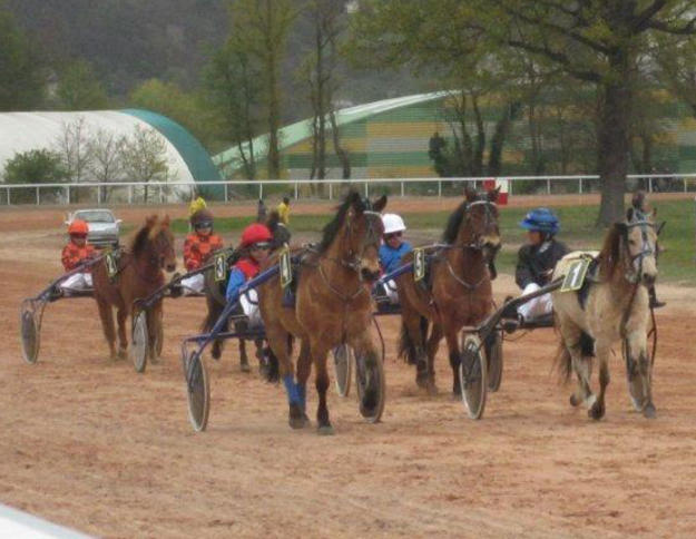 L'hippodrome accueille sept réunions par an (Illustration © DR)