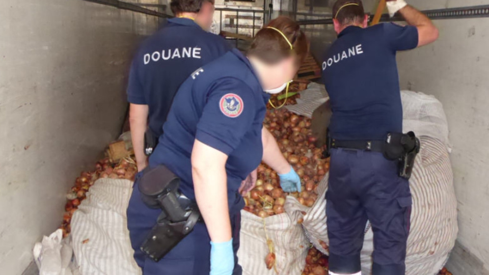 Les valises étaient dissimulées dans la cargaison d'oignons (Photo @Douane française)