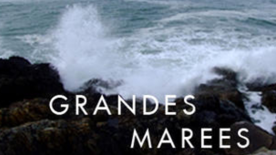 Grandes marées du 20 au 26 août : appel à la prudence sur le littoral normand