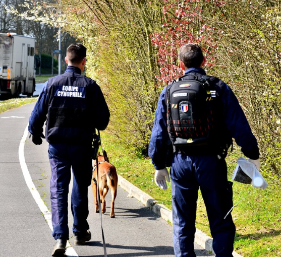 Une cinquantaine de policiers, un hélicoptère, un chien pisteur ...ont été mobilisés toute la journée d'hier pour retrouver le chauffard qui a blessè grièvement un policier à Verneuil-sur-Seine (Photo © DDSP78)