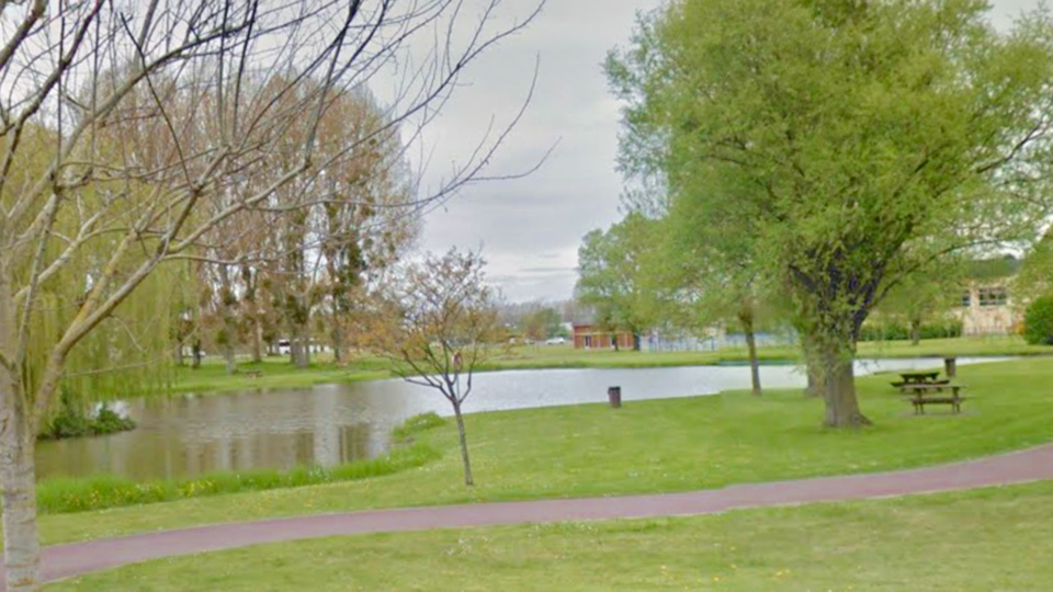 C’est la police municipale qui a signalé ce matin la présence de poissons morts dans l’un des étangs du parc Jacques-Guérillon au Trait (Illustration)