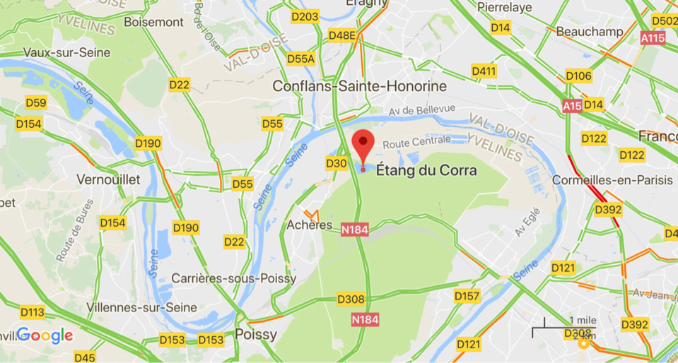 Saint-Germain-en-Laye : un exhibitionniste arrêté à l’étang du Corra