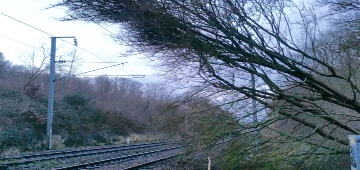 Le trafic ferroviaire est quasi-inexistant sur le réseau normand : des arbres sont tombés ou ont endommagé les installations électriques (photo extraite du compte Twitter de la @SNCF)