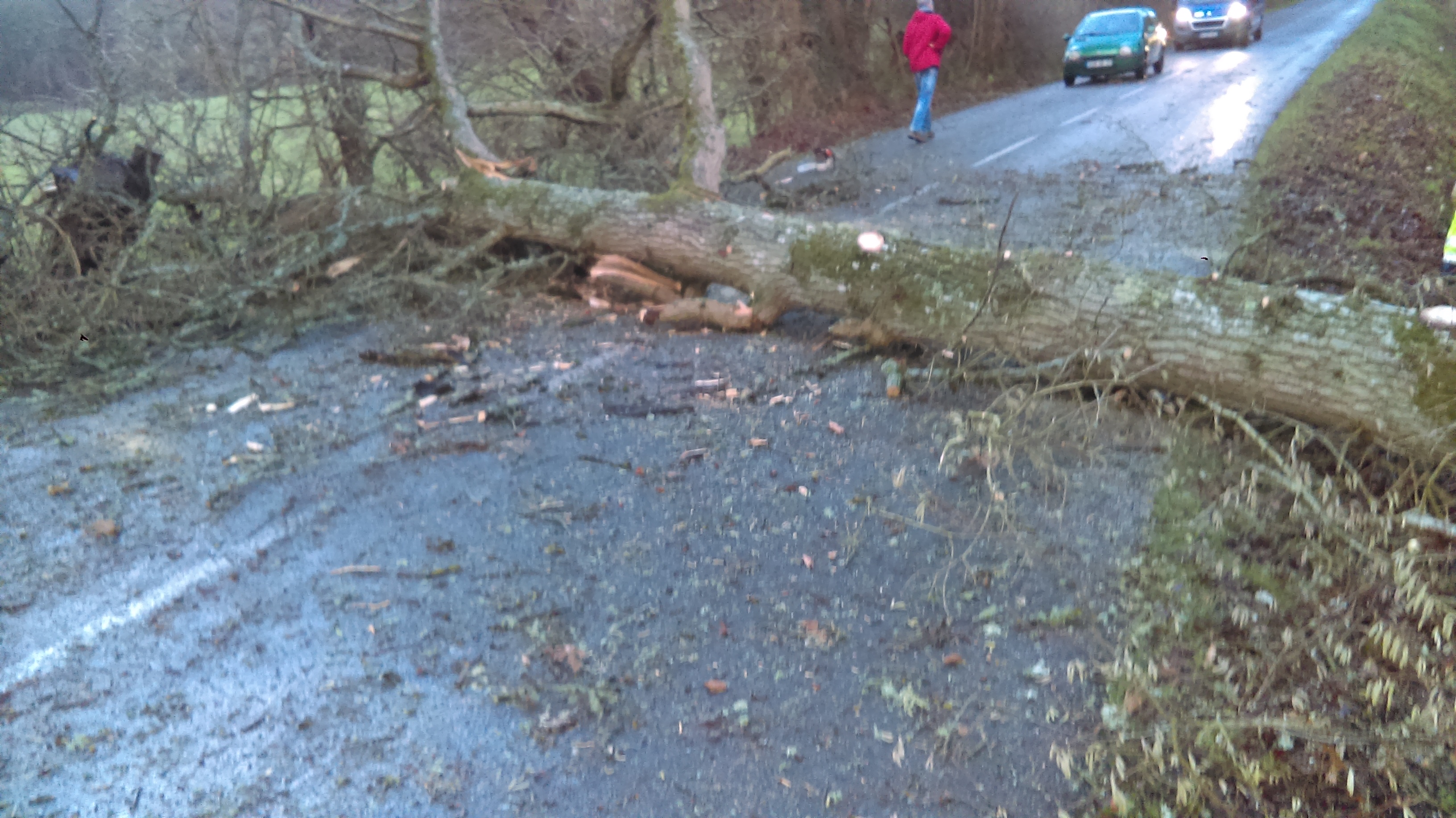 Plusieurs routes de l'Eure ont été coupées à la suite de chutes d'arbres .