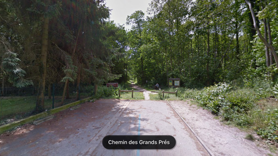 Yvelines : un promeneur agressé par cinq individus dans un bois de Bougival, les auteurs sont arrêtés 
