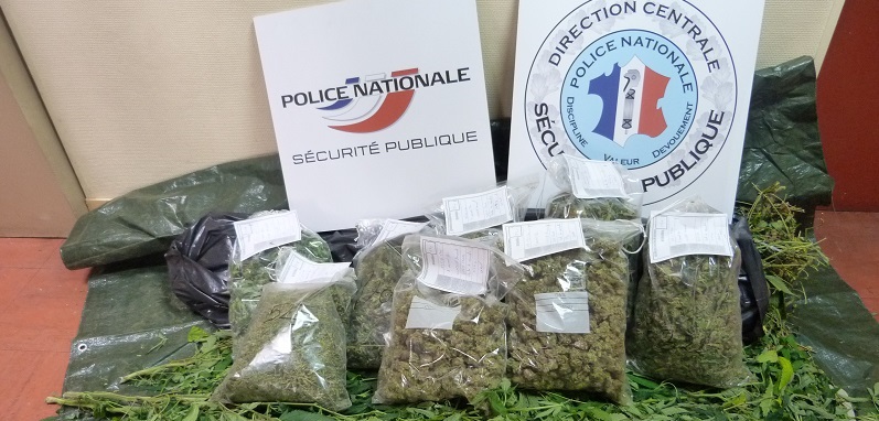 Les policiers ont saisi une vingtaine de sachets d'herbe de cannabis et 400€ en petites coupures (Photo d'illustration © DDSP)