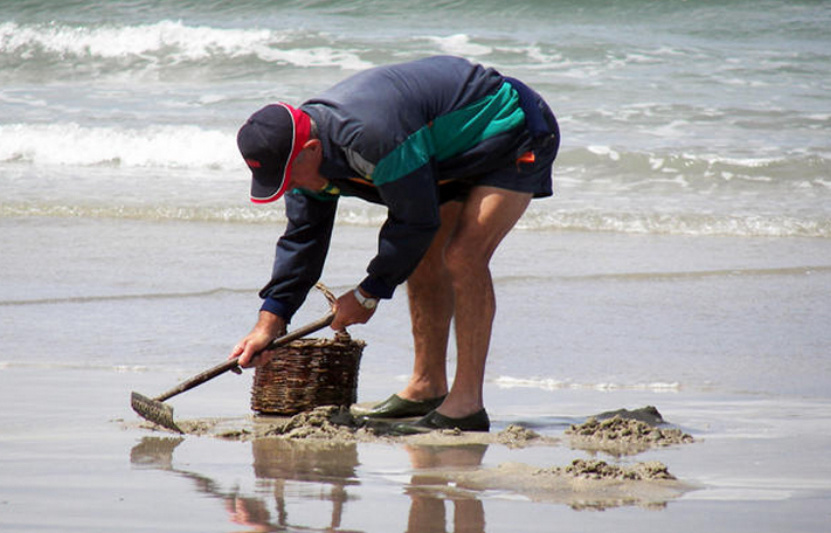 La pêche à pied de loisir et professionnelle est interdite temporairement - Illustration