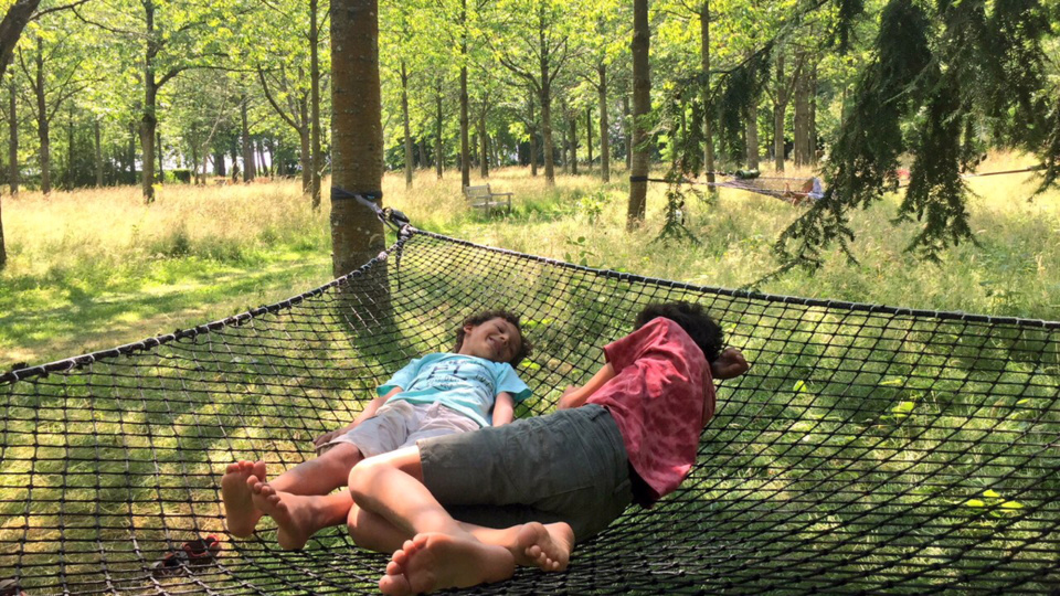 Siestes à l'ombre des arbres - Du 11 juillet au 29 août,