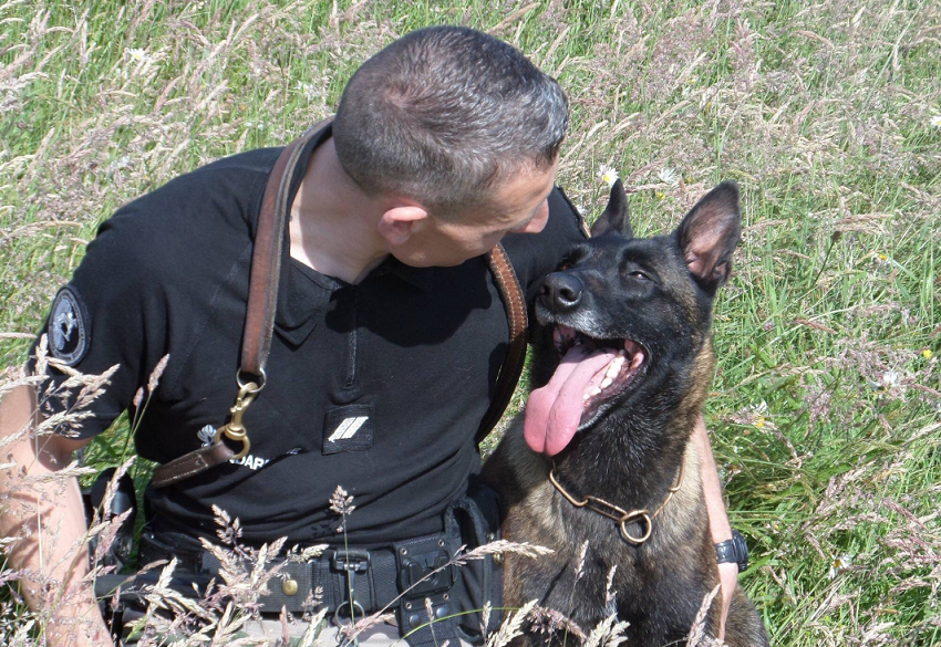 La quadragénaire a pu être localisée et retrouvée avec l'aide du chien pisteur du PSIG de Dieppe - Photo © Gendarmerie76/Twitter