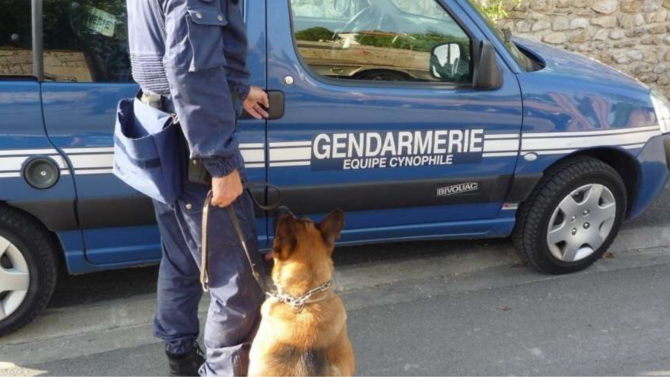 Un important dispositif a été déployé mardi matin au Neubourg lors de l’interpellation vers 6 heures de trois suspects - Illustration @ gendarmerie nationale