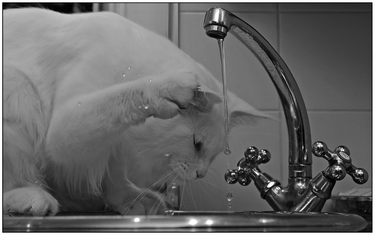 L'ARS déconseille très fortement de boire l'eau du robinet jusqu'à nouvel ordre  - Illustration © Pixabay