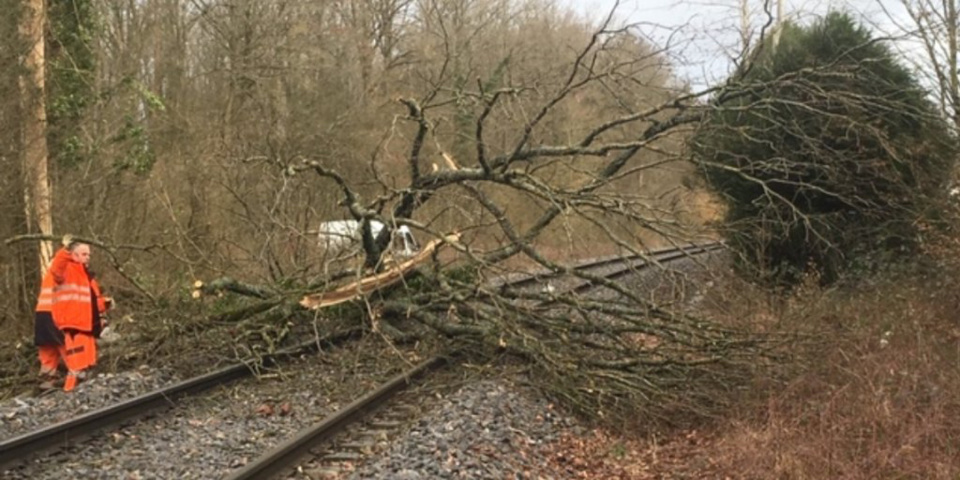 Plusieurs lignes de la SNCF ont été impactées par les chutes d'arbres et de branchages - Photo © SNCF