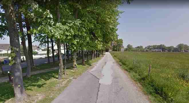 Le drame s'est déroulé sur cette route (rue des Mésanges) bordée d'arbres - Illustration © Google Maps