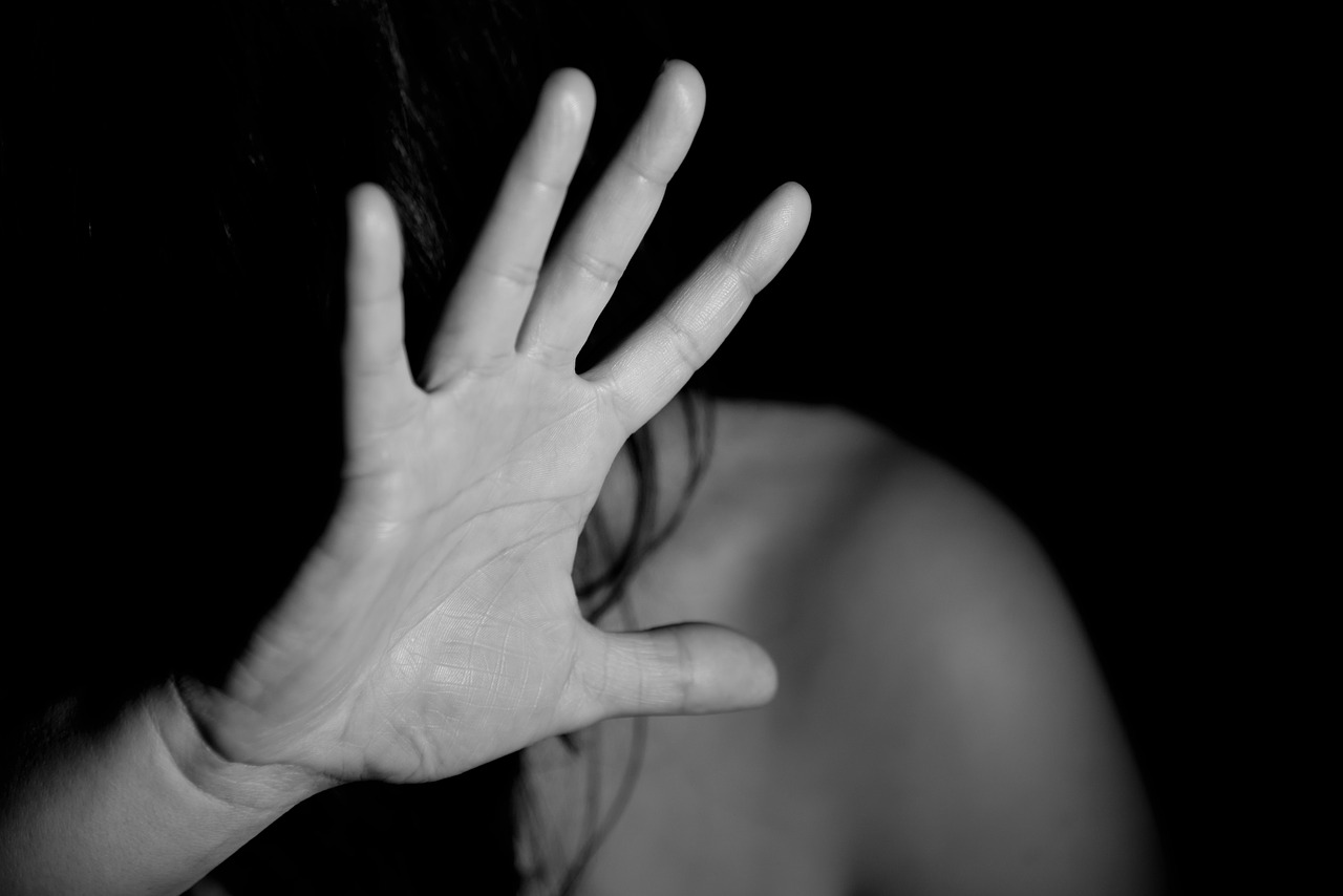 La mère de famille a reçu des coups des poing au visage. Elle s'est vu délivrer 10 jours d'ITT - Illustration © Pixabay