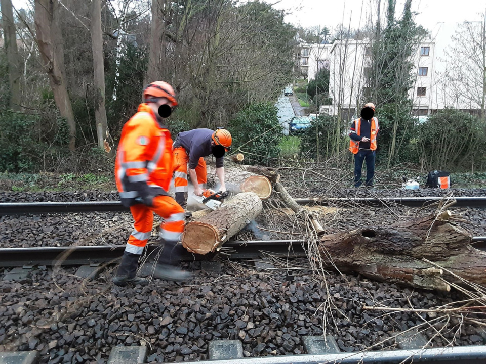 Les employés de la SNCF ont été mobilisés une partie de la journée pour remettre en état les installations endommagées par la chute d’un arbre - Photo @ SNCF /Twitter