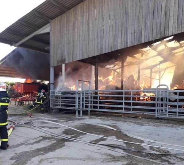 L'intérieur du bâtiment de 2 000 m2 était complètement embrasé à l'arrivée des sapeurs-pompiers - Photo © SDIS76