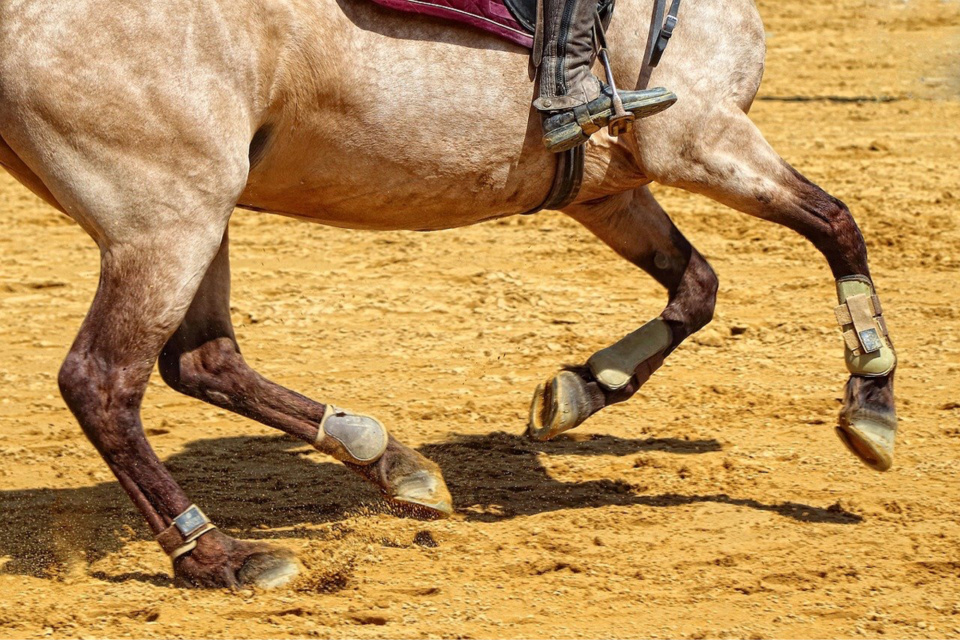 Le cheval serait retombé sur le cavalier qui avait chuté au sol - Illustration @ Pixabay