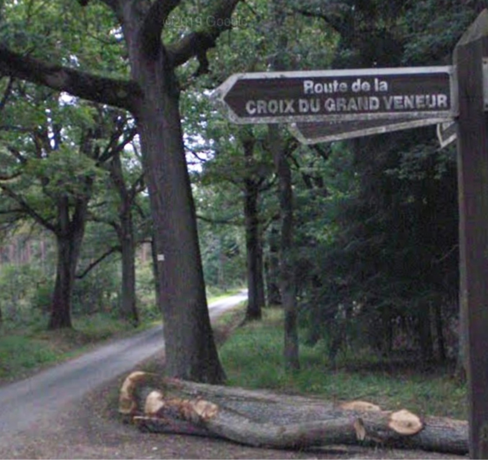 La jeune femme circulait à pied en forêt de Rambouillet - illustration @ Google Maps