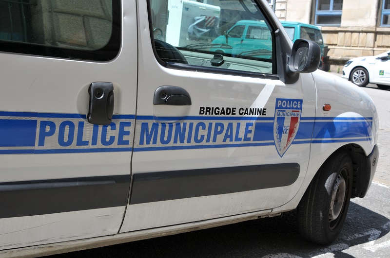 Le chien des policiers a été victime de violences de la part d'un jeune qui a été interpellé - Illustration © Adobe Stock