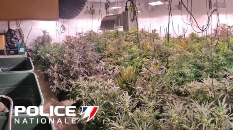 Le garage du pavillon était entièrement dédié à la culture d'herbe de cannabis - Photo © DDSP76/Twitter