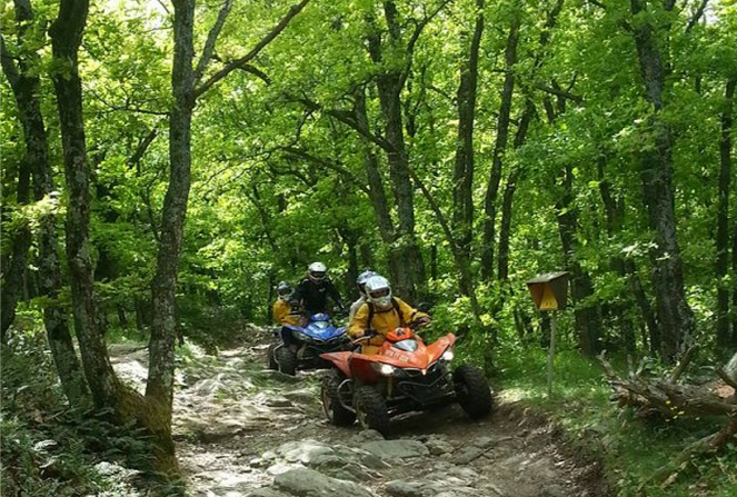 Régulièrement, dès l'arrivée des beaux jours, des opérations de police sont menées pour lutter contre les rodéos sur les routes forestières ouvertes au public (Photo d'illustration)