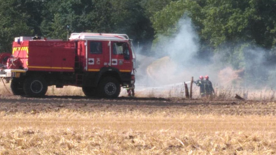 Les sapeurs-pompiers estiment à 5 hectares le surface de sous-bois brûlée - illustration
