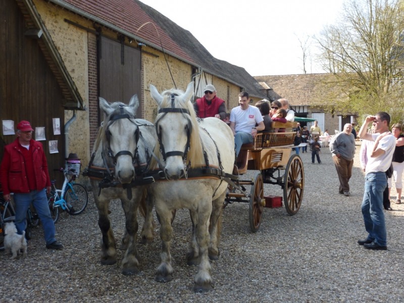 Des promenades en calèche sont proposées aux enfants (Photo DR)