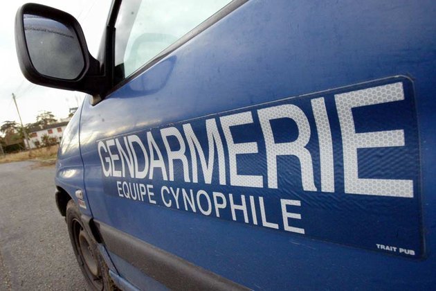 Comme à chaque fois, lorsqu'il s'agit d'une disparition, l'équipe cynophile est mobilisée (Photo d'illustration)