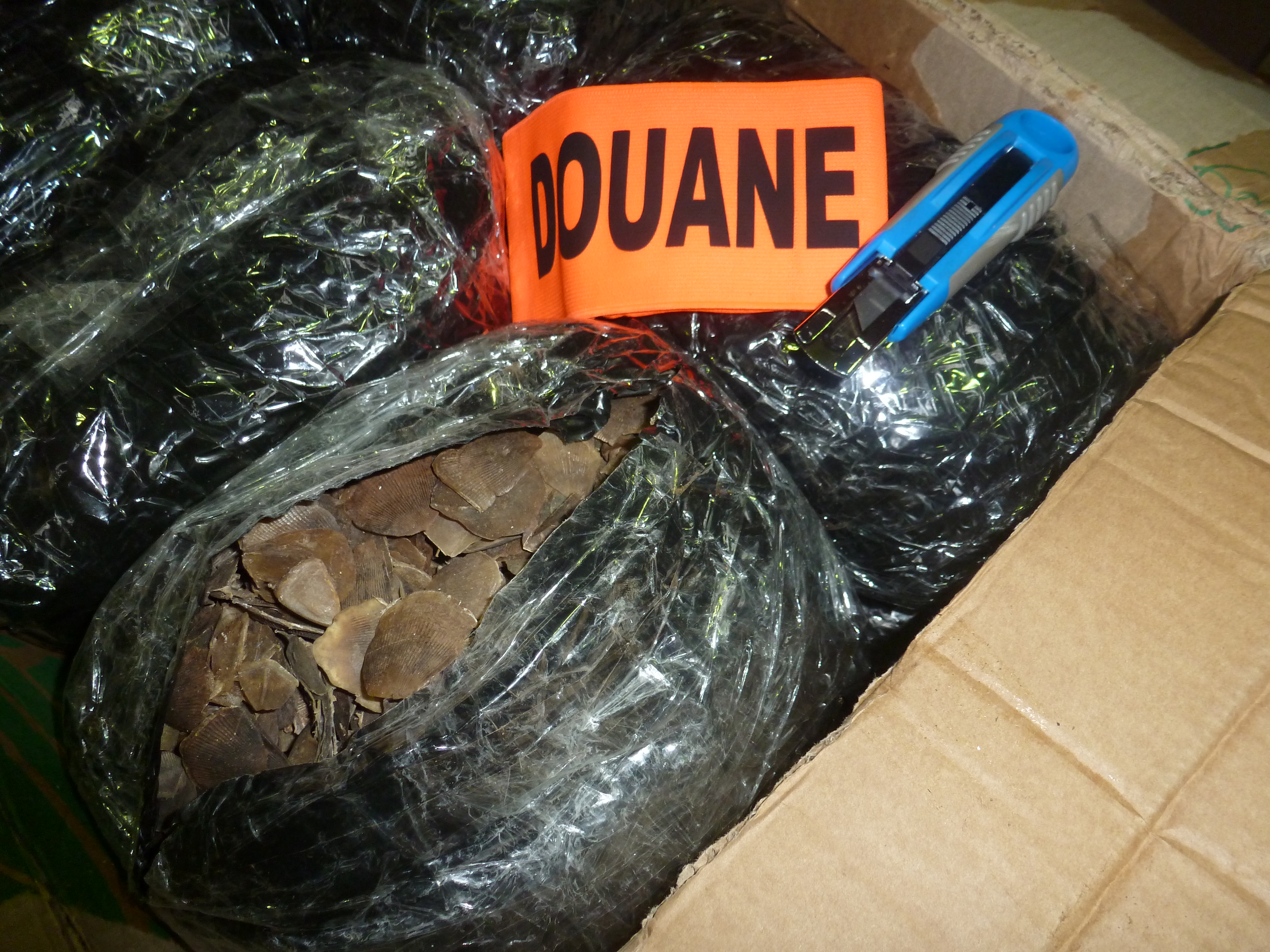 558 kg d’écailles de pangolins ont été saisis par les douaniers de Roissy en moins de cinq ans (Vidéo et photo Douane française)