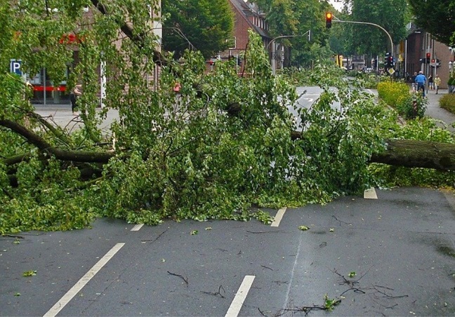 Arbres tombés sur la chaussée, inondations ... En seinbe-Maritime, les sapeurs-pmompiers sont intervenus à 27 reprises - Illustration  © Pixabay