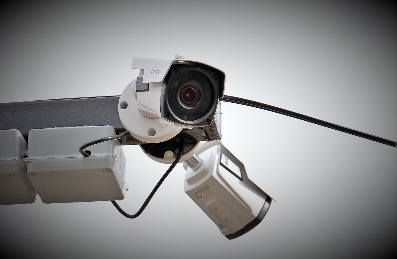 En consultant son système de vidéosurveillance, le propriétaire a constaté avec stupéfaction la présence de deux cambrioleuses dans sa maison - illustration @ Pixabay