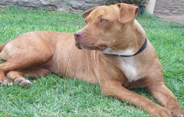 Photo d'illustration