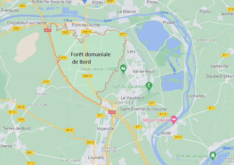 Eure. Un hectare de sous-bois part en fumée en forêt de Bord entre Louviers et Pont-de-l'Arche