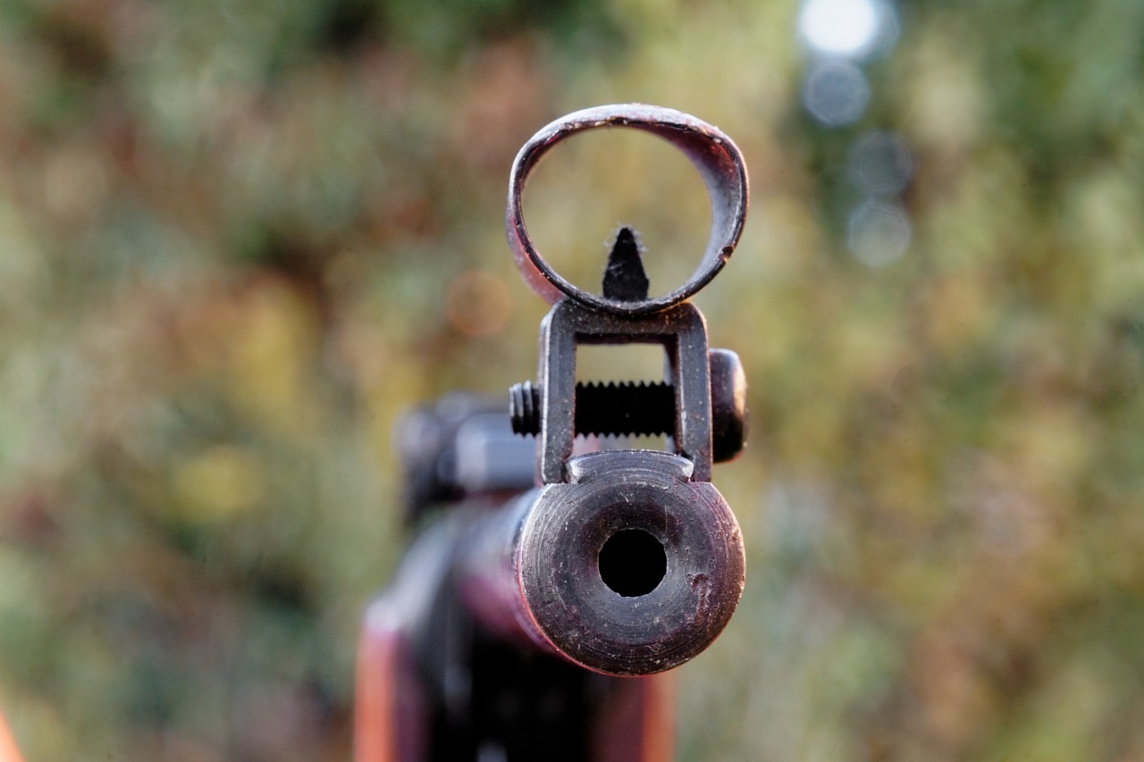 L’arme de catégorie D a été saisie pour les besoins de l’enquête - illustration @ Pixabay