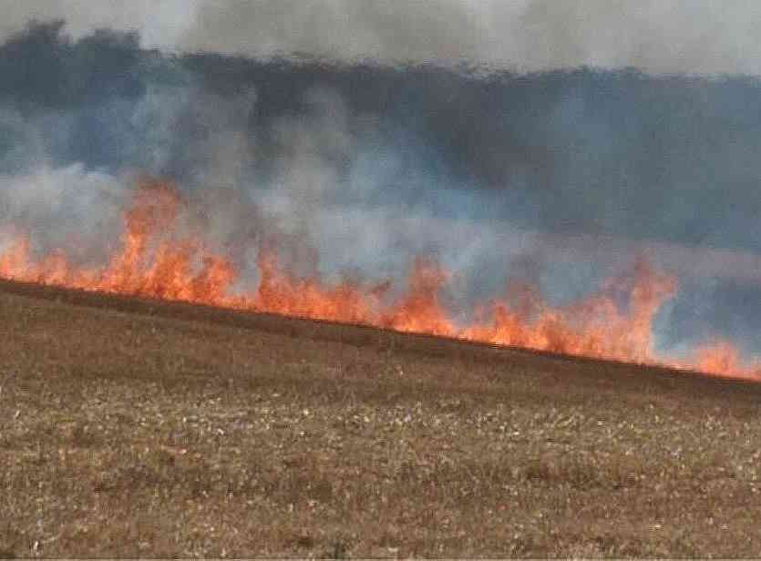 Les sapeurs-pompiers sont intervenus à quatre reprises samedi après-midi confrontés à des feux de récoltes et de chaume - Illustration