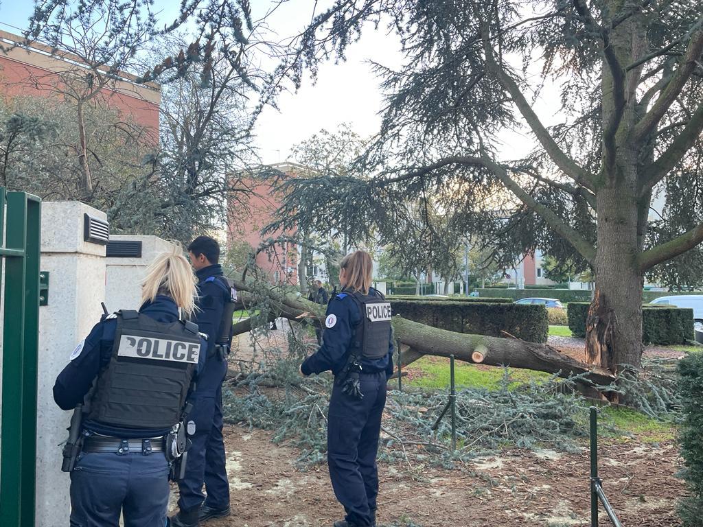 Dans le quartier de La Madeleine à Evreux, un arbre est tombé contre la façade d'un immeuble sans faire de victime - Photo © Préfecture27