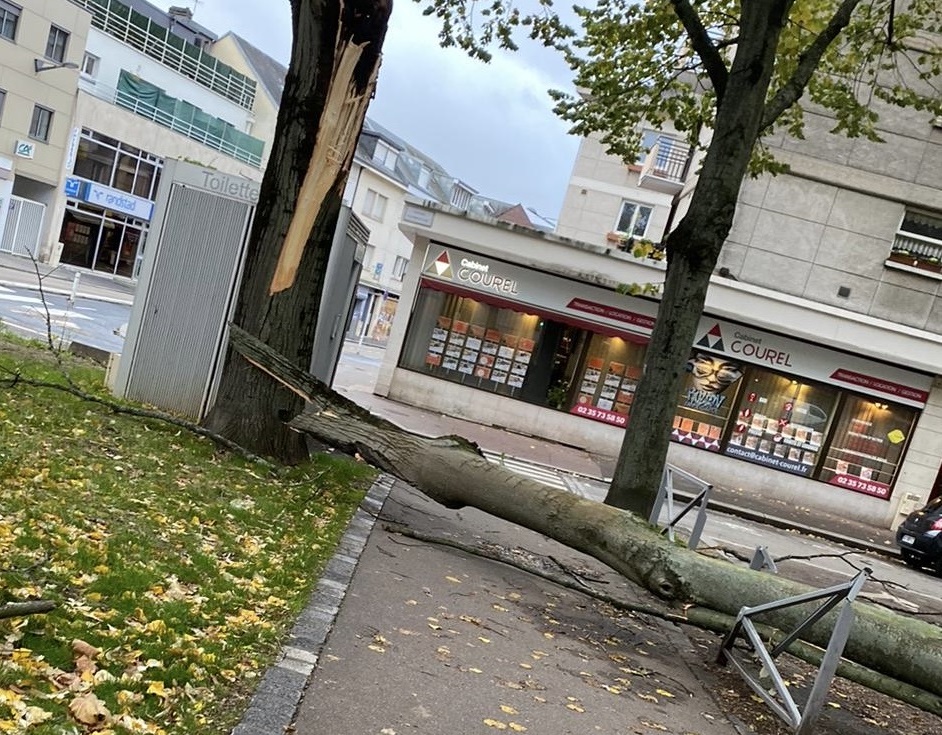 A Rouen, des branches d'arbre sont tombées sur la voie publique san s faire de blessé - Photo © Maxime/infoNormandie