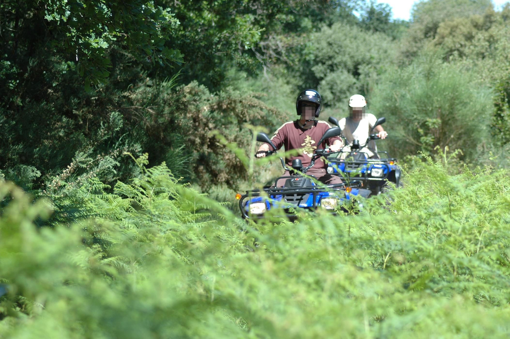 Rouen : six motos et un quad confisqués lors d'une opération anti-rodéos en forêt