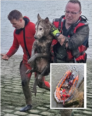 Le chien a été récupéré sain et sauf par l'équipe spécialisée en sauvetage aquatique des sapeurs-pompiers - Photo Sdis76