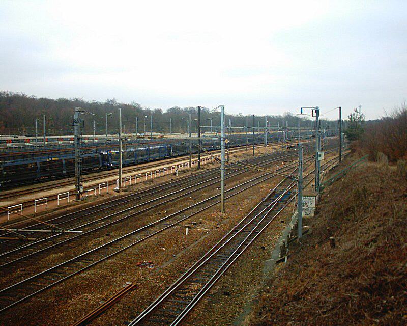 La gare d'Achères-triage est implantée en forêt de Saint-Germain-en-Laye (Illustration)