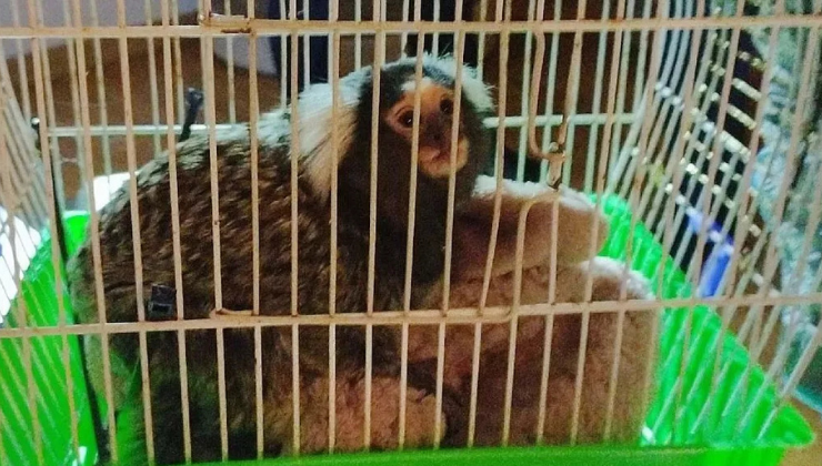 Photo Association Stéphane Lamart