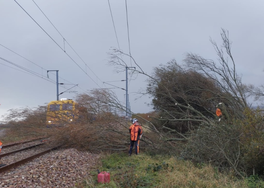 Le train a heurté un arbre tombé sur les voies -  Illustration  SNCF/Nomad