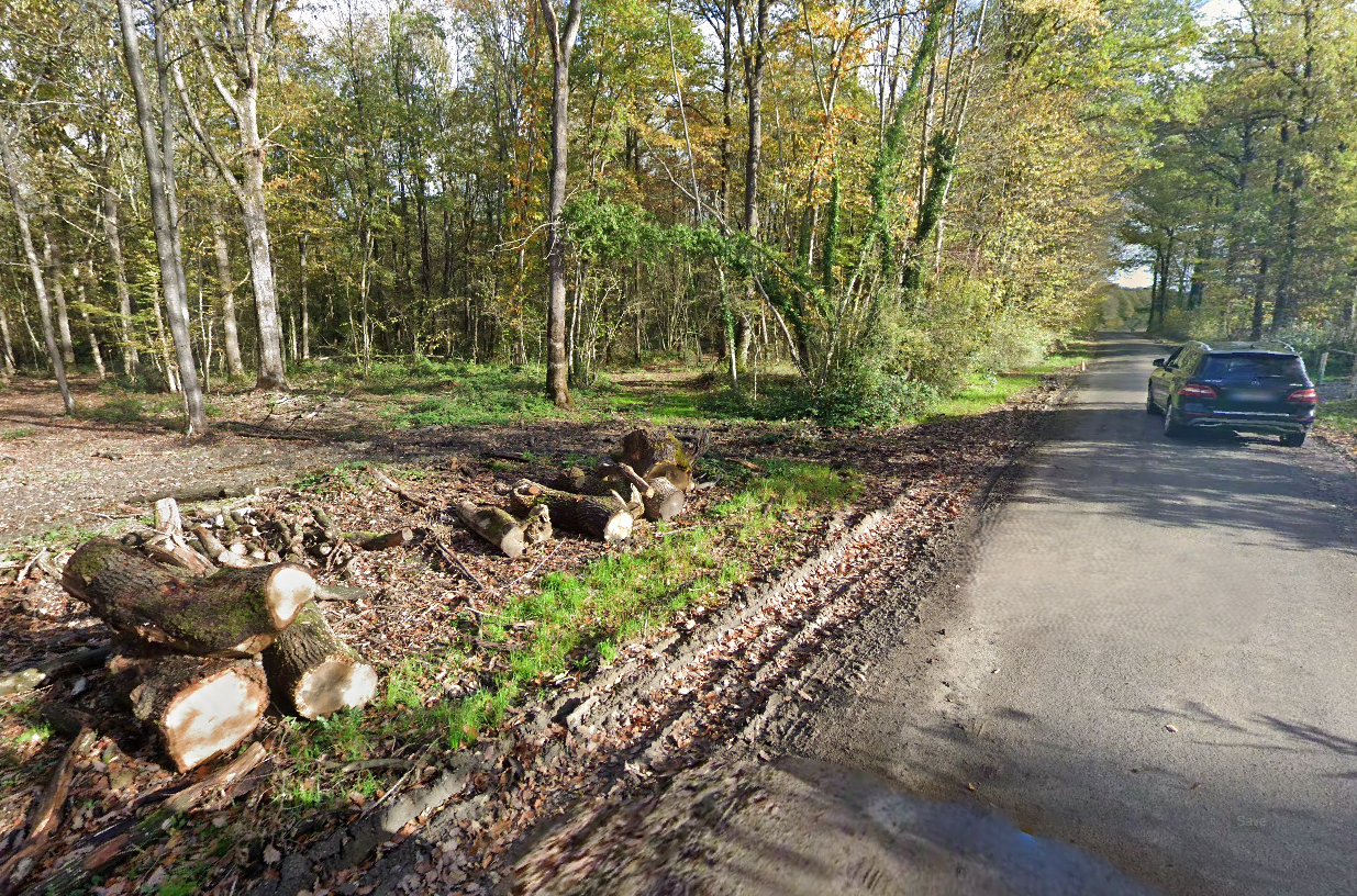 L'homme, victime d'un accident de buggy, a été découvert par un chasseur au milieu de ce bois à un kilomètre de la D16 - illustration Google Maps