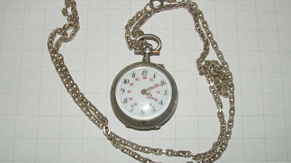 Découverte de bijoux dans un bois à Nointot (Seine-Maritime) : ils sont peut-être à vous ?