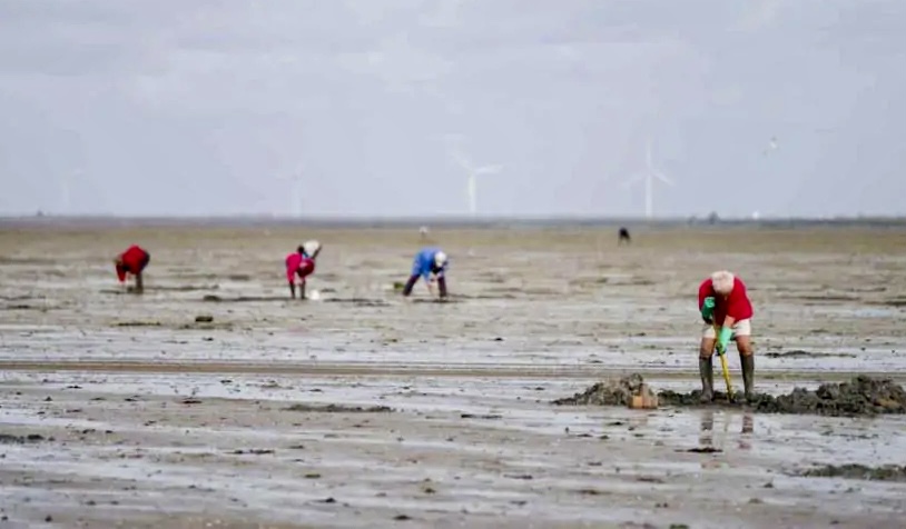 Les conseils de prudence s’adressent plus particulièrement aux pêcheurs à pied - illustration